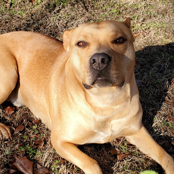 Meet your Posher, Melissa - Picture 3 of 12